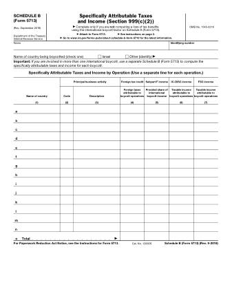IRS Form 5713SB