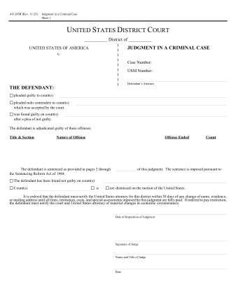 US Courts Form AO245B