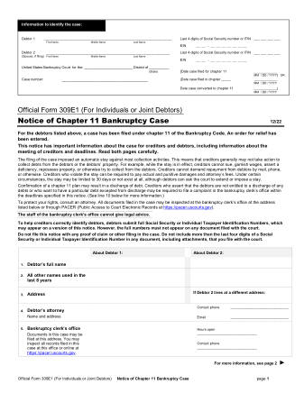 US Courts Form B 309E1