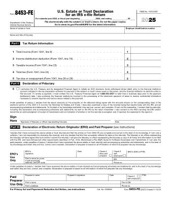IRS Form 8453FE
