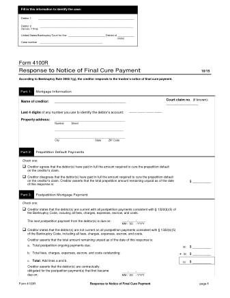 US Courts Form FORM 4100R 0