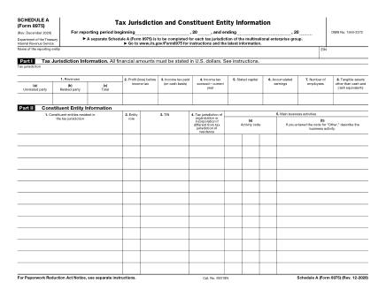 IRS Form 8975SA