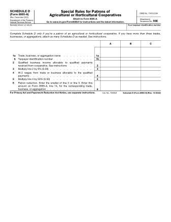IRS Form 8995AD