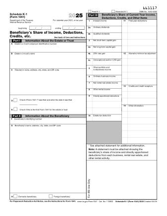 IRS Form 1041SK1