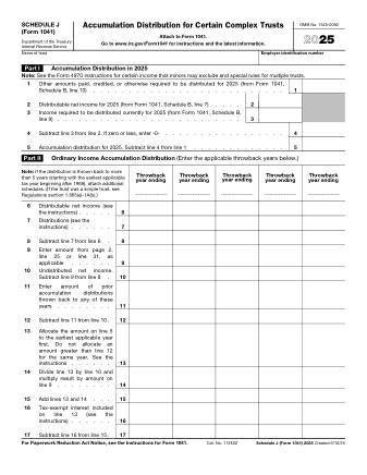 IRS Form 1041SJ