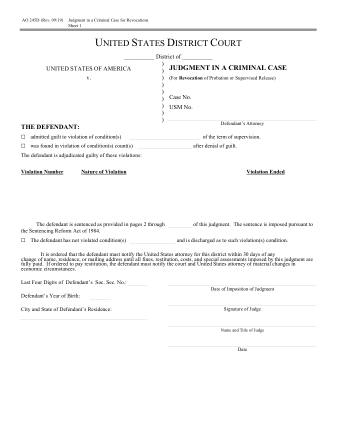 US Courts Form AO245D