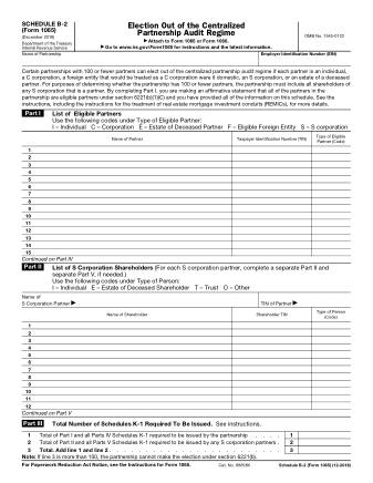 IRS Form 1065SB2