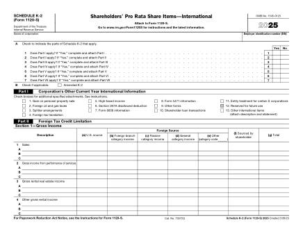 IRS Form 1120SK2