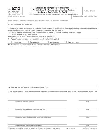 IRS Form 5213
