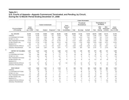 US Courts Form B01DEC08