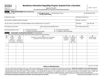 IRS Form 8971SA