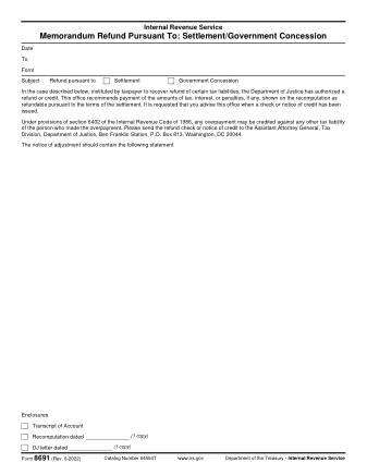 IRS Form 8691