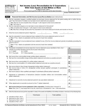 IRS Form 1120SS3